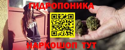 мдма Камышлов