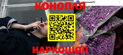мдма Камышлов