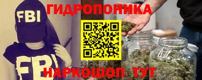 ГАЛЛЮЦИНОГЕННЫЕ ГРИБЫ Кандалакша